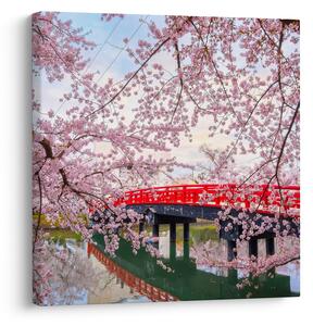Obraz - Hirosaki, Japonsko (30x30 cm)