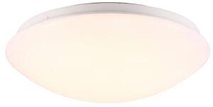 Nordlux Ask nástěnné svítidlo 1x12 W bílá 45356001