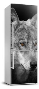 Nálepka fototapeta lednička Portrét vlka FridgeStick-70x190-f-103311727