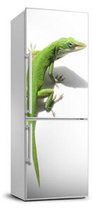 Foto tapeta na ledničku Zelená ještěrka FridgeStick-70x190-f-103468723