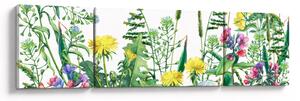 Obraz - Malované luční kvítí (170x50 cm)