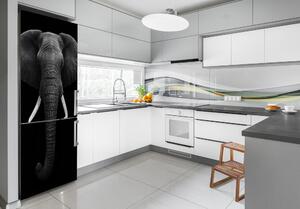 Nálepka fototapeta lednička Africký slon FridgeStick-70x190-f-49228540