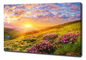 Foto obraz na plátně do obýváku Západ slunce hory pl-oc-100x70-f-100025577