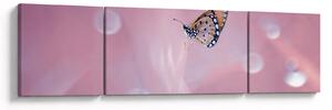 Obraz - Motýl (170x50 cm)