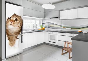 Samolepící nálepka na ledničku stěnu Kočka FridgeStick-70x190-f-52539481