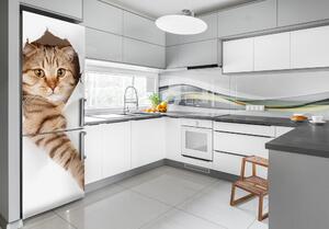 Samolepící nálepka na ledničku stěnu Kočka FridgeStick-70x190-f-52539512