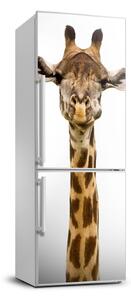 Nálepka fototapeta lednička Žirafa FridgeStick-70x190-f-53003309