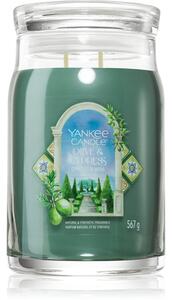 Yankee Candle Olive & Cypress vonná svíčka 567 g