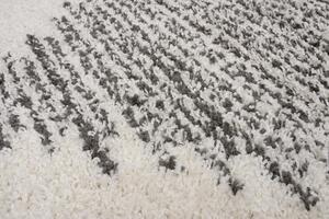 Makro Abra Kusový koberec Shaggy DELHI 4087A krémový šedý Rozměr: 60x100 cm