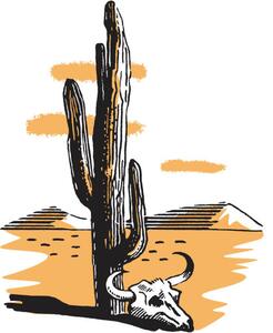 Ilustrace Cactus, CSA Images