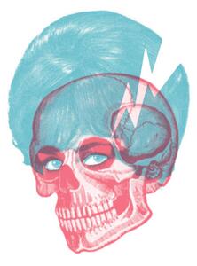 Ilustrace Skull, CSA Images