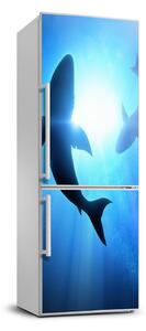 Nálepka fototapeta lednička Siluety žraloků FridgeStick-70x190-f-69178156