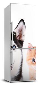 Foto nálepka na ledničku stěnu Pes a kočka FridgeStick-70x190-f-69481621