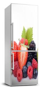 Nálepka na ledničku samolepící Lesní ovoce FridgeStick-70x190-f-70482895