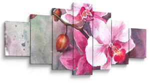 Obraz - Orchideje, aquarel (210x100 cm)