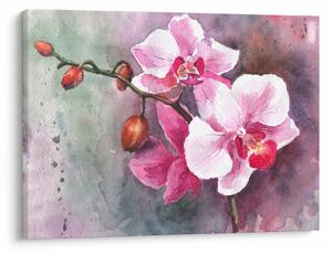 Obraz - Orchideje, aquarel (70x50 cm)