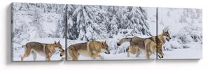 Obraz - Vlci v horách (170x50 cm)