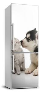 Foto nálepka na ledničku stěnu Pes a kočka FridgeStick-70x190-f-73561386