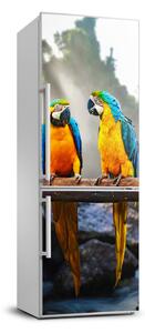 Foto nálepka na ledničku stěnu Papoušci Ara FridgeStick-70x190-f-73798945