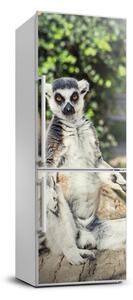 Samolepící nálepka na ledničku stěnu Lemur FridgeStick-70x190-f-75982744