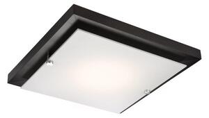 RUEL Stropní moderní osvětlení, 1xE27, 60W, 30x30cm, hranaté, tmavě hnědé LD-PD-7.1
