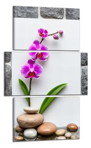 Obraz na zeď Orchidej a kameny
