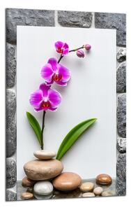 Obraz na zeď Orchidej a kameny