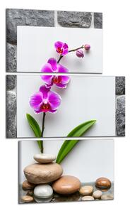 Obraz na zeď Orchidej a kameny