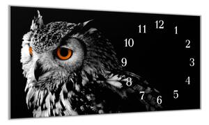 Nástěnné hodiny 30x60cm dravý pták výr - plexi