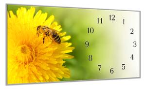 Nástěnné hodiny 30x60cm včela na květu pampelišky - plexi