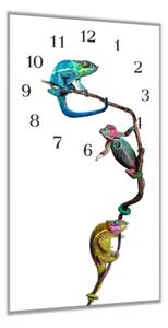 Nástěnné hodiny 30x60cm tři barvení chameleoni - plexi