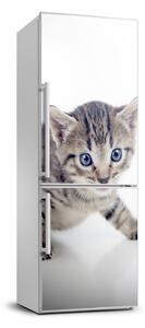 Nálepka fototapeta lednička Malá kočka FridgeStick-70x190-f-95620650