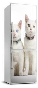 Nálepka fototapeta lednička Dvě bílé kočky FridgeStick-70x190-f-97350767