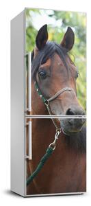 Nálepka fototapeta lednička Portrét koně FridgeStick-70x190-f-107892402