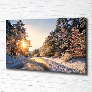 Foto obraz na plátně Cesta v lese zima pl-oc-100x70-f-77332313
