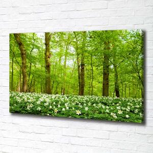 Foto obraz na plátně Květiny v lese pl-oc-100x70-f-83235444