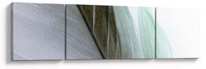 Obraz - Peří, makro (170x50 cm)