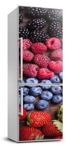 Nálepka na ledničku samolepící Lesní ovoce FridgeStick-70x190-f-89347182