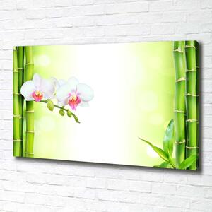 Foto obraz na plátně Orchidej a bambus pl-oc-100x70-f-82165838