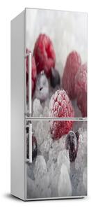 Nálepka na ledničku fototapeta Mražené ovoce FridgeStick-70x190-f-90017236
