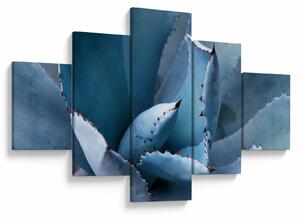 Obraz - Agáve (125x70 cm)