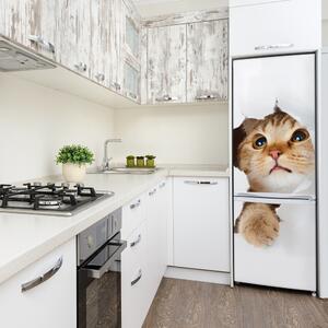 Samolepící nálepka na ledničku stěnu Kočka XL FridgeStick-70x190-f-33902265