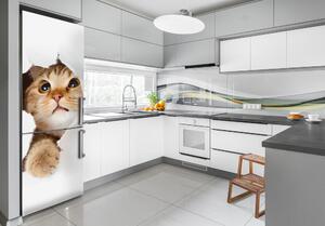 Samolepící nálepka na ledničku stěnu Kočka XL FridgeStick-70x190-f-33902265