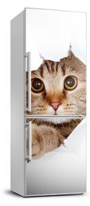 Samolepící nálepka na ledničku stěnu Kočka XL FridgeStick-70x190-f-35664648