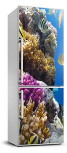 Nálepka fototapeta lednička Korálový útes XL FridgeStick-70x190-f-36026012