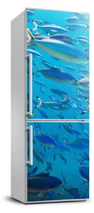 Nálepka fototapeta lednička Korálové ryby XL FridgeStick-70x190-f-39421860