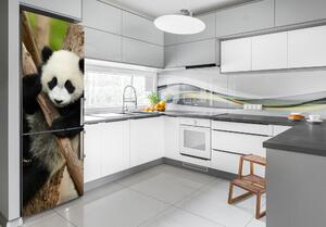 Nálepka fototapeta lednička Panda na stromě FridgeStick-70x190-f-43324424