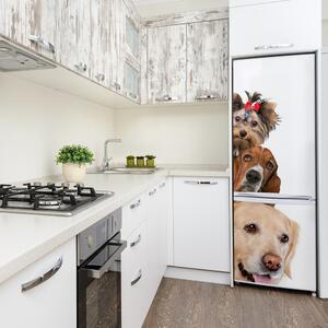 Foto nálepka na ledničku stěnu Psy a kočky FridgeStick-70x190-f-104206550