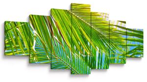 Obraz - Palmové listy (210x100 cm)