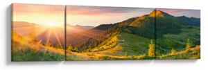 Obraz - Letní krajina (170x50 cm)
